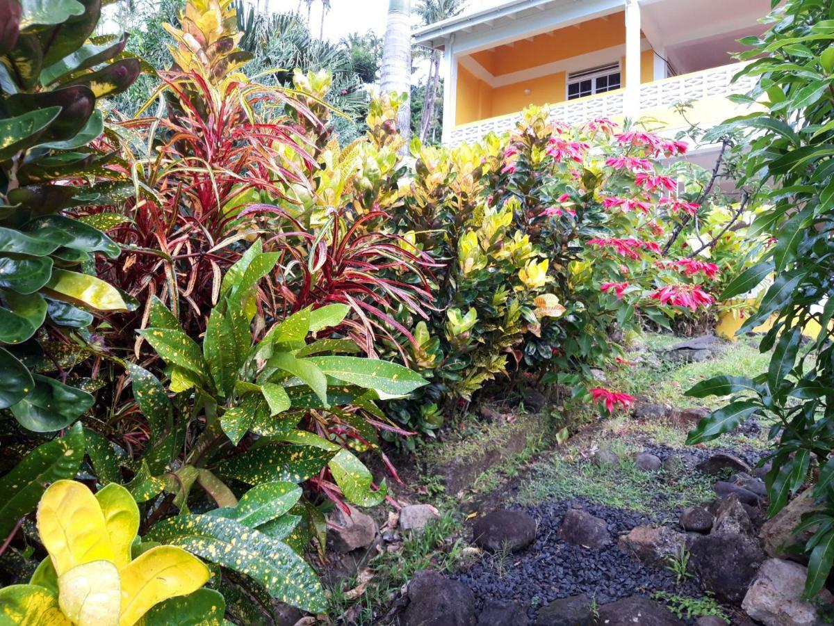 Mango Garden Cottages Tanetane Exterior photo